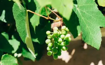 La mode au service de sa morphologie : des astuces simples