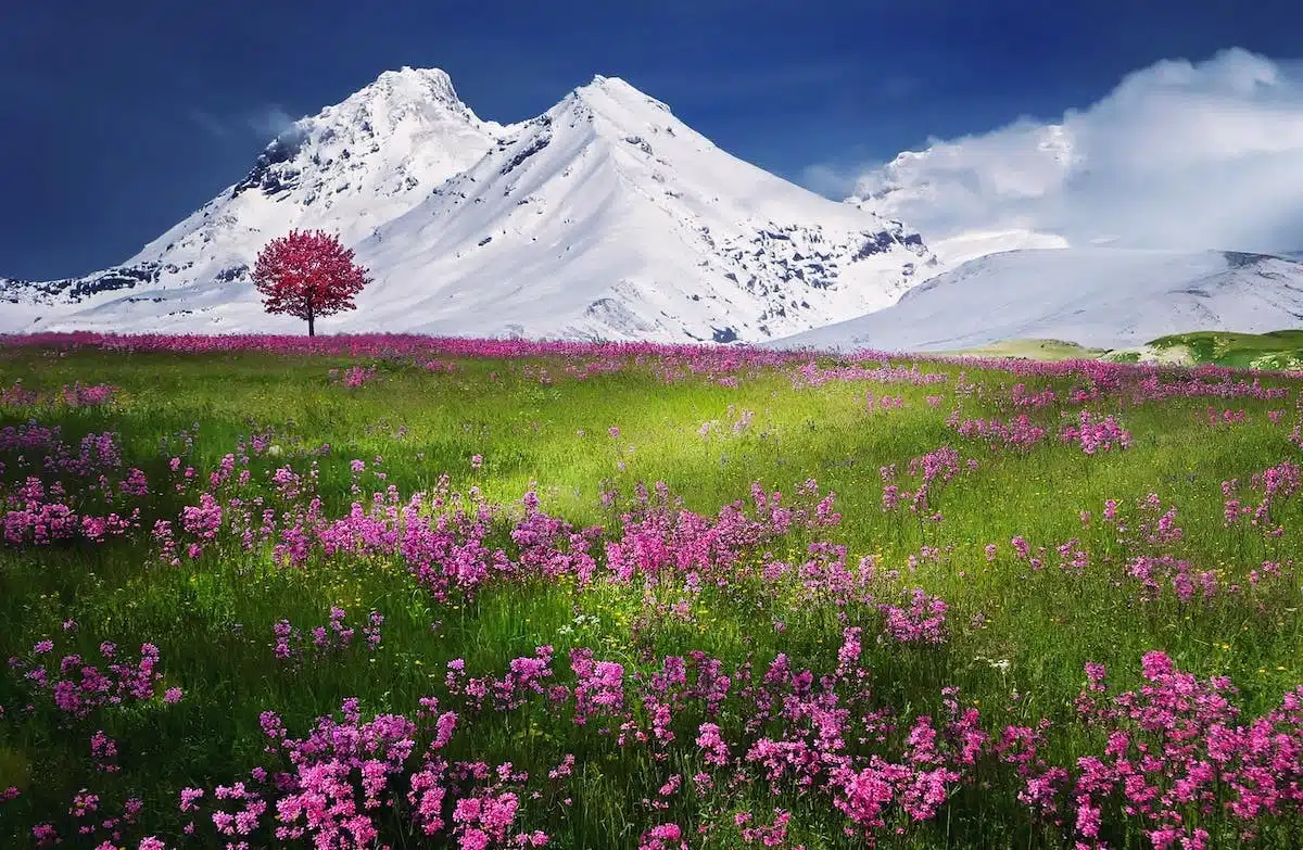 beauté naturelle